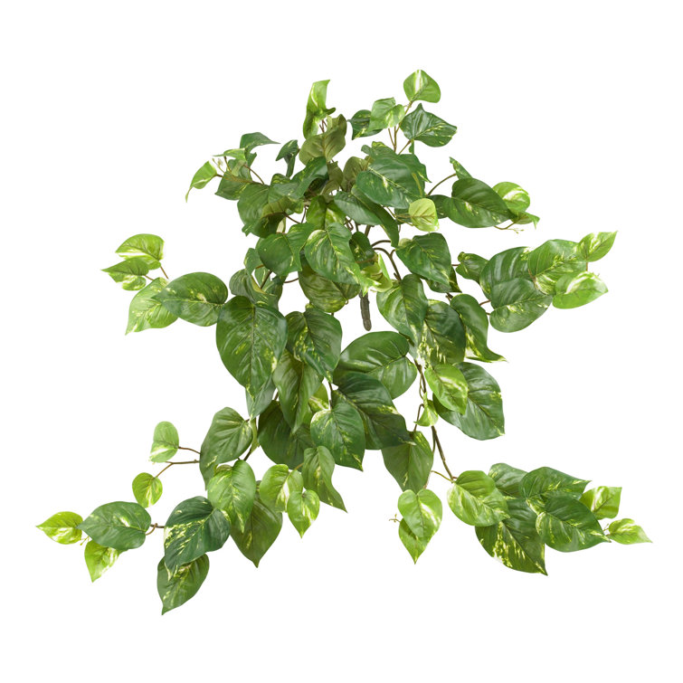 Charlton Home® 24'' Faux Ivy Plant & Reviews Wayfair